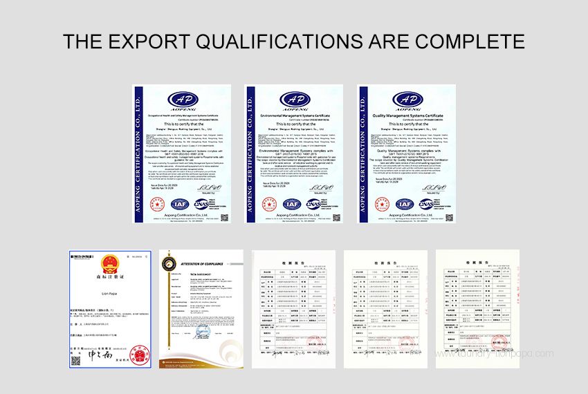 Lion Papa specializes in commercial laundry equipment manufacturing, with complete global export qualifications.
