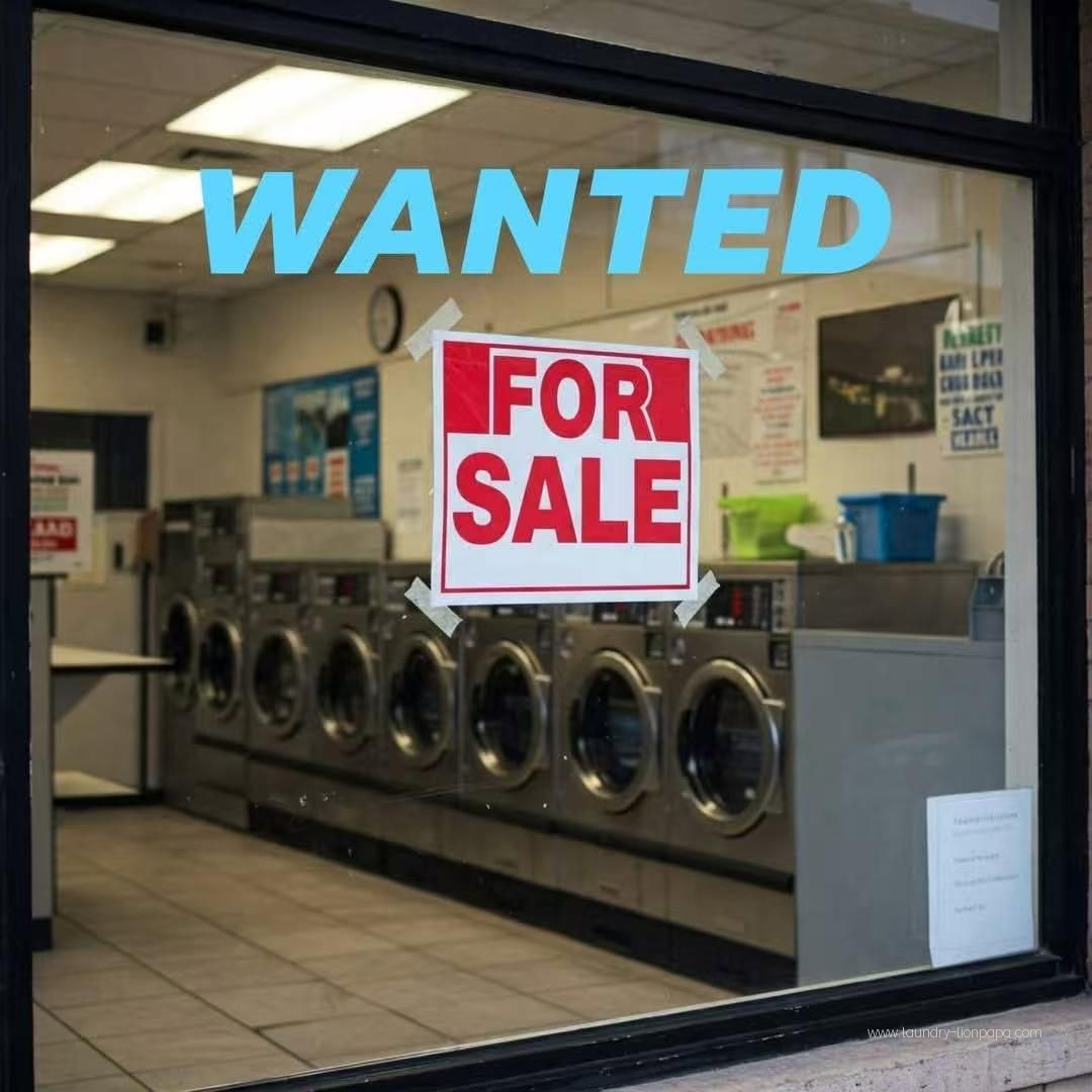 China-Made Coin Operated Laundry Equipment vs US Queen Speed Self Service Washing Machine | US & Laundromat Business Model Comparison
